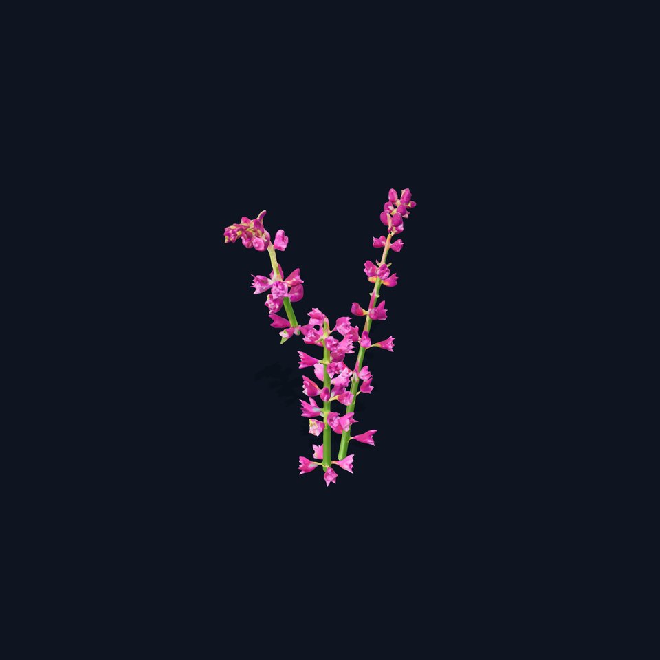 Vibrant Pink Flower Model Pack